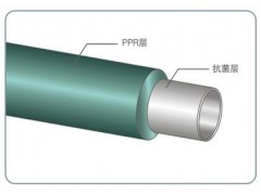 �{�׿���PP-R��