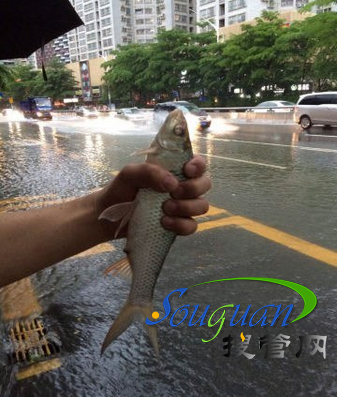 市政排水管道標(biāo)準(zhǔn)