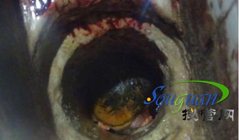 �ܵ�����_meitu_1