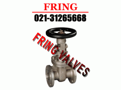 �M�ڲ��P��l�y