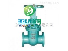 NKZ61H���ˮ���l�y