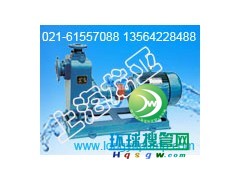 65ZW25-40���ر�