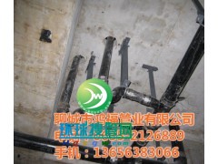 �C(j��)���T�F��