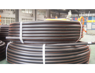 ����ϩȼ���