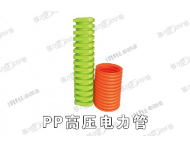 PP�߉������