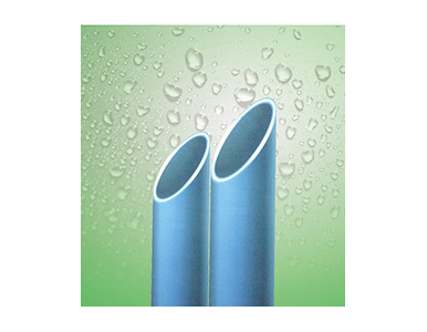 PP-B �o����