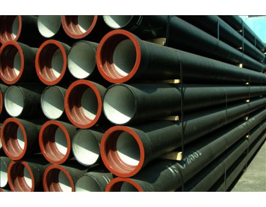 ��ī�T�F��