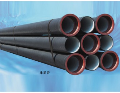 ��ī�T�F��