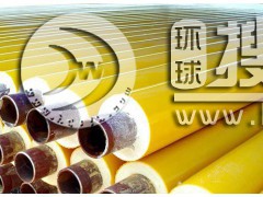 ֱ��ʽ���ع�