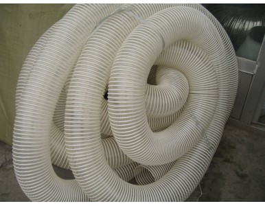 ͸��������