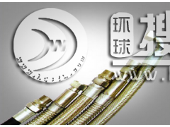 ����ܛ��