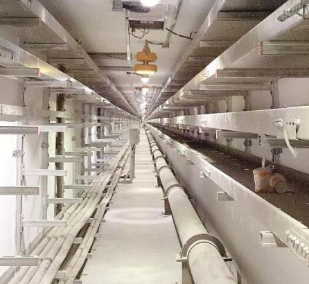 ���¾C�Ϲ���