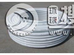 RPAP5���Ӻ��X�܏ͺϹ�