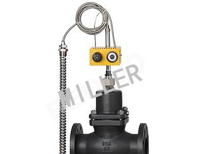 �M�ڜض��{���y