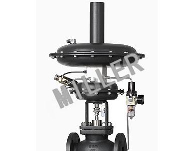 �M��й���y,�M�ڹ����y