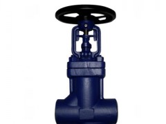 �M�ں��ӽ�ֹ�y