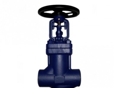 �M�ں��ӽ�ֹ�y