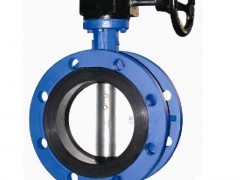 ���y�T��_���y�T���ӹ�