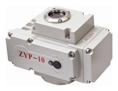 ZYP-10 ZYP-20
