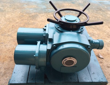 ����O��DZW30-24-A00-DSI���ЙC��