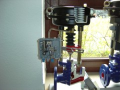 �����ӿ����y,�M�ښ���{���y