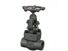 �M(j��n)���䓺��ӽ�ֹ�y