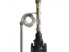 �M������ʽ�ض��{���y