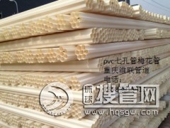 �ؑc110pvc�߿׹܏S��