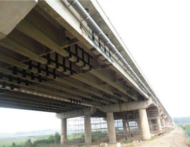 ճ���z�|(zh��)���ļҺ� ���I(y��)���a(ch��n)ճ���z ճ���z�����X ���