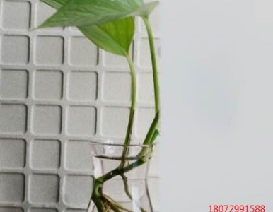 �x������Ĥ_�x���{��Ĥ_�x������Ĥ_���N��