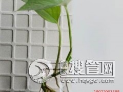 �Ϻ�����Ĥ�S���Ϻ��{��Ĥ�S���Ϻ�������ܲ����S�Ҷ��N��