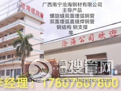 �V���ό��溣����䓹܏S