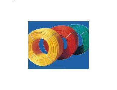 ��ɫ�ӹ܏S��ֱ�N��N�ɫ���x