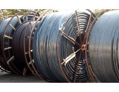 COD���|���y�ܹ���