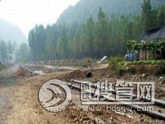 12��߷���������ϩ���迣����