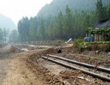 12��߷���������ϩ���迣����