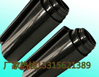 䓎��ܟ��տs�� ���տs�׌��I���a�S�҃r��