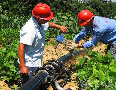 PE�r���ȹ�