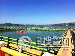 �S��ֱ�NPE�������̤���O�����a��