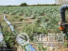 ����ƈ@�־G������PE��ȹܲ�