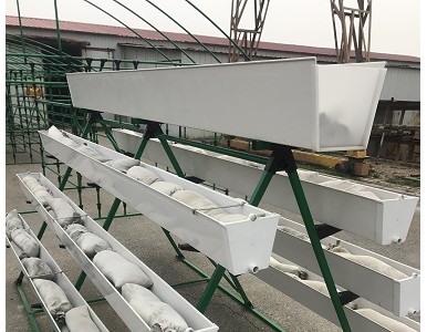 ����2019�f���㹽������