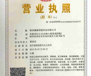 ���ɭԴ���ܿƼ����޹�˾