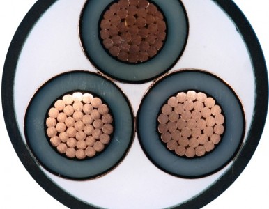 ̩���h�|��|��������|�͟��o�u��|��̩���h�|��|�N��