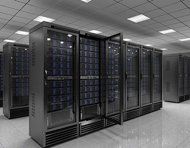 �C�����^��S��