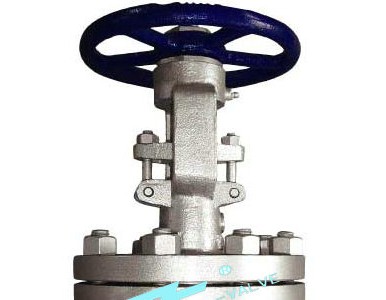 �Ϻ����N���T䓷��m�l�y���F؛�ṩȫҎ����̓��M�r