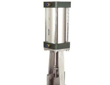 �Ϻ��������N����ӵ��l�y���F؛�ṩȫҎ����̓��M�r