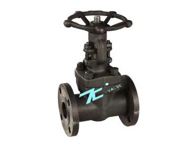 �Ϻ��������N�����l�y��TCƷ��-�F؛�ṩȫҎ����̓��M�r