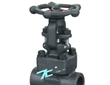 �Ϻ��������N���䓺����l�y��TCƷ��_�F؛�ṩ��̓��M�r