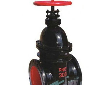 �Ϻ����N�����U�T�F�l�y���F؛�ṩȫҎ����̓��M�r