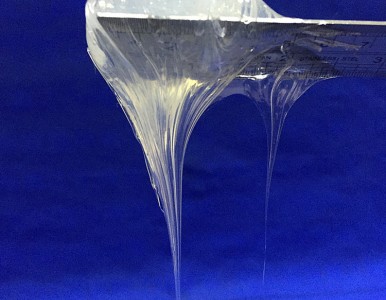 �͜�����֬ ���_������